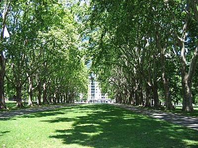 Melb CBN Carlton Gardens 3