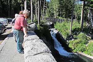 Narada Falls 2015-06 395