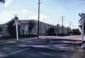 Packing house, Yorba Linda, Nov. 1961