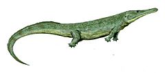 Prionosuchus BW.jpg