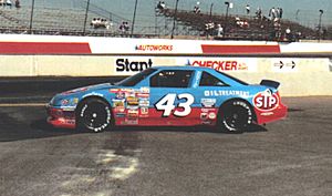 RichardPetty43car1989