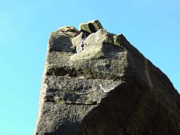 Rivelin Needle tip