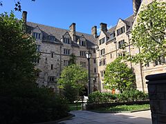 Saybrook College Courtyard