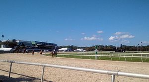 Tampa Bay Downs