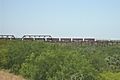 Texas-Mexican Railway Bridge