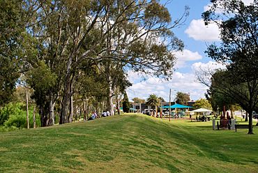 Tocumwal Levee Bank.JPG