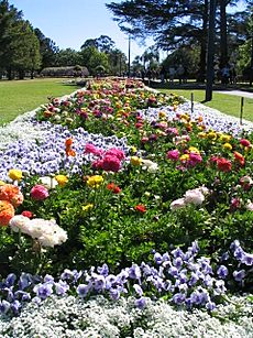 Toowoombagardenfestival