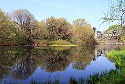 USA-NYC-Central Park-Turtle Pond2