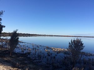 Wagin Lake southern shore