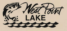 WestPointLakeStylized