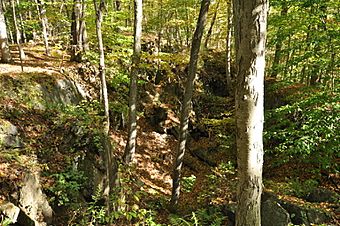 WoodbridgeCT NewEnglandCementCompanyQuarry.jpg