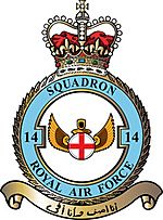 Squadron badge