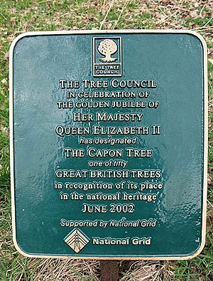 A sign at the Capon Tree - geograph.org.uk - 744652