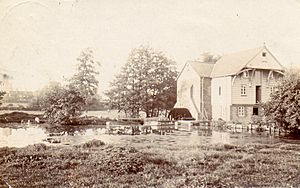 Brasted 1906