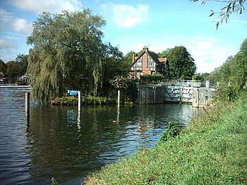 Bray Lock, Buckinghamshire.jpg