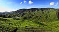 Cameron Highlands Tea Plantation 2012