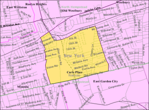 Carle-place-ny-map