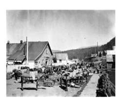 Cataline's Mule Train at Hazelton