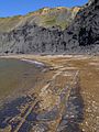 Chapmans pool beach and cliffs