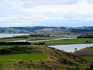 Clutha from Kaitangata