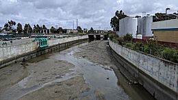 Colma Creek at S. Linden Ave