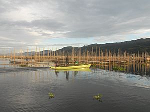 Danau Limboto