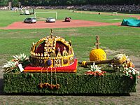 Debrecen flower Holy Crown