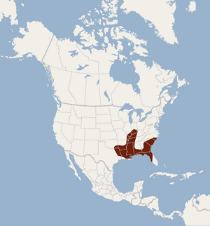 Distribution of Myotis austroriparius.png