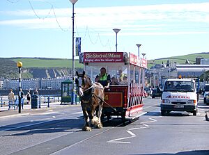 Douglas-IOM-horse-tram2