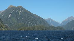 Elizabeth Island in Doubtful Sound.jpg