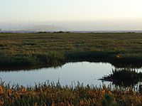 Emeryville mudflats distant San Francisco