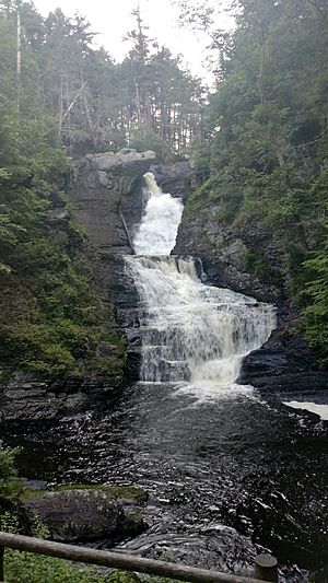 Fulmer Falls View