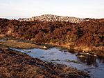 Group of four barrows and cairns known as 'Rowbarrows' including Great Rowbarrow and Little Rowbarrow