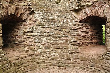 Grosmont Castle (0477)