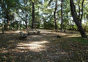 Ingomar Mound