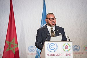 King Mohammed VI