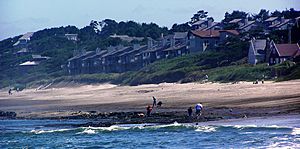 Lincoln beach OR beachcombing