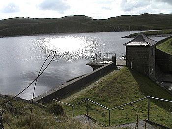 Llyn Teifi - geograph.org.uk - 41773.jpg