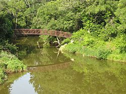 Loyd Park Bridge