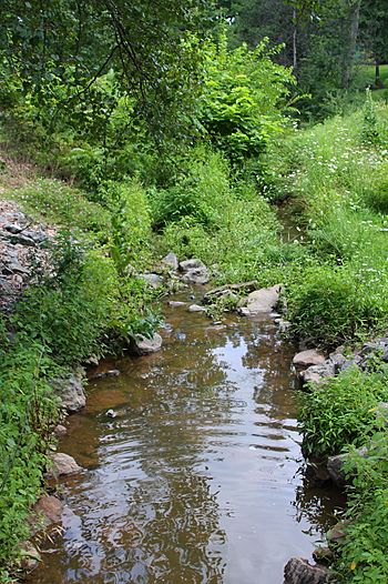 Miller Run looking downstream.JPG