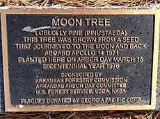 MoonTreePlaque