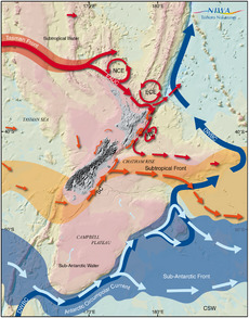 Ocean circulation near New Zealand