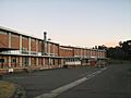 Old Rozelle hospital building