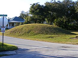 OrmondMound0934.JPG