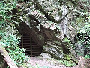 Pahaquarry Copper Mine Adit 1