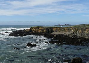 Piedras Blancas, California