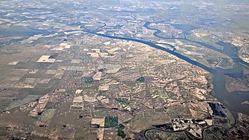 Shiloh Wind Power Plant aerial