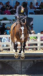 Sidesaddle jumping devon pa