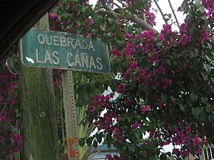 Sign for Quebrada Las Cañas, San Sebastián, Puerto Rico