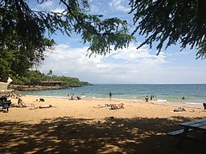 Spencer Beach Park Big Island